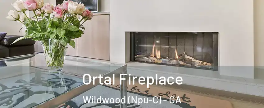 Ortal Fireplace Wildwood (Npu-C) - GA