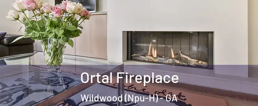 Ortal Fireplace Wildwood (Npu-H) - GA