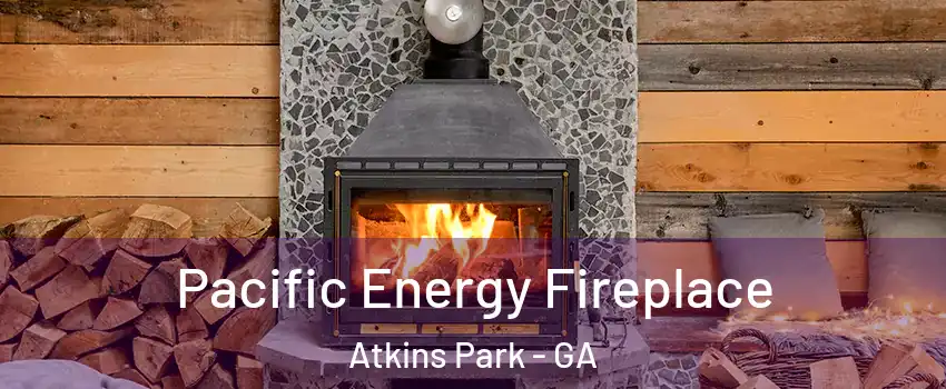 Pacific Energy Fireplace Atkins Park - GA