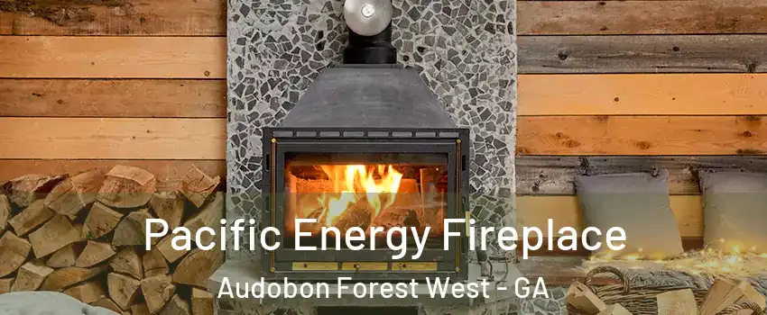 Pacific Energy Fireplace Audobon Forest West - GA