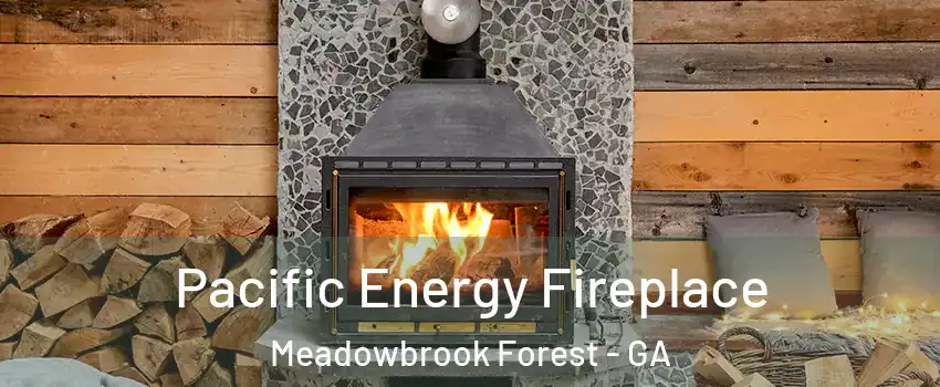 Pacific Energy Fireplace Meadowbrook Forest - GA