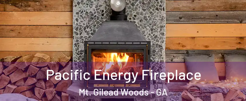 Pacific Energy Fireplace Mt. Gilead Woods - GA