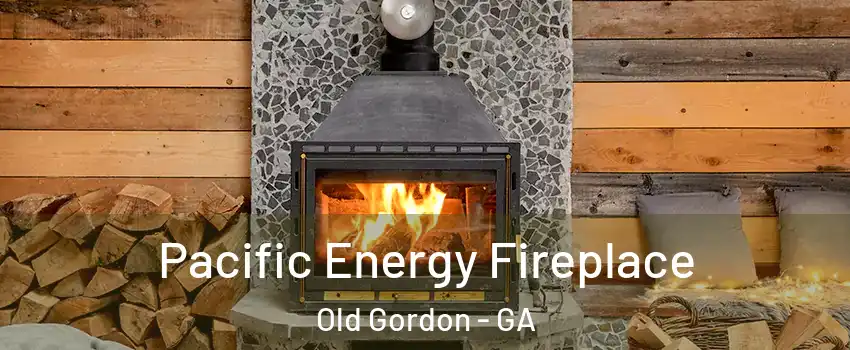 Pacific Energy Fireplace Old Gordon - GA