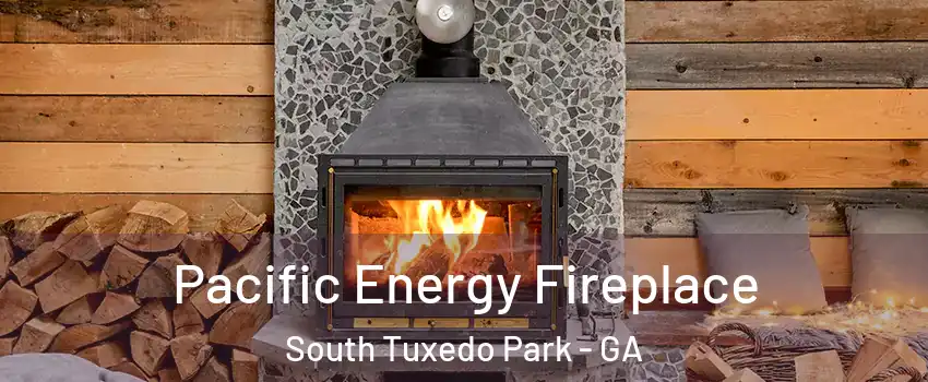 Pacific Energy Fireplace South Tuxedo Park - GA