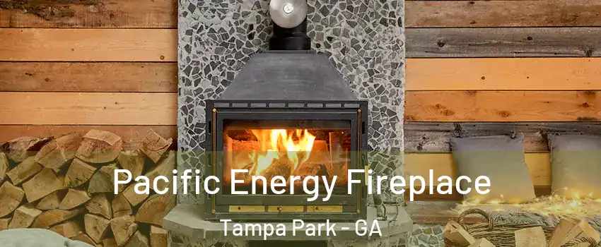 Pacific Energy Fireplace Tampa Park - GA