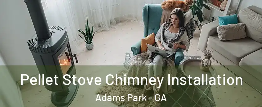 Pellet Stove Chimney Installation Adams Park - GA