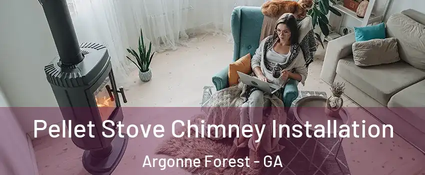 Pellet Stove Chimney Installation Argonne Forest - GA