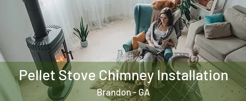 Pellet Stove Chimney Installation Brandon - GA