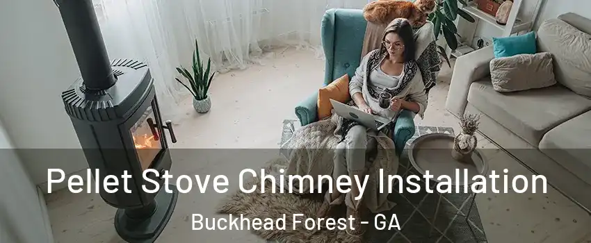 Pellet Stove Chimney Installation Buckhead Forest - GA