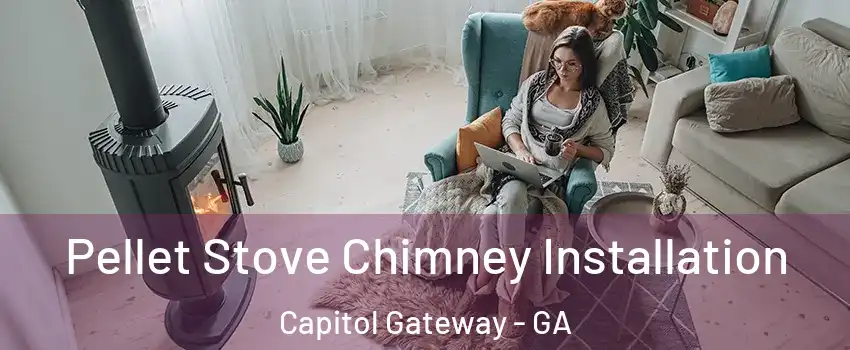 Pellet Stove Chimney Installation Capitol Gateway - GA
