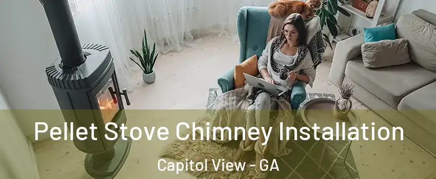 Pellet Stove Chimney Installation Capitol View - GA