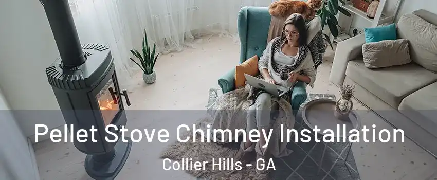Pellet Stove Chimney Installation Collier Hills - GA
