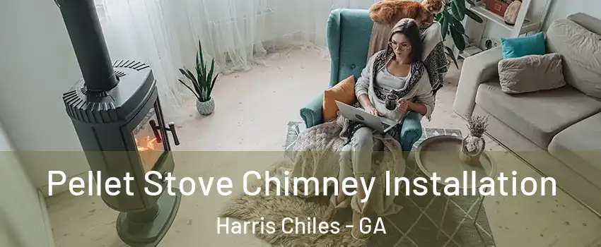 Pellet Stove Chimney Installation Harris Chiles - GA