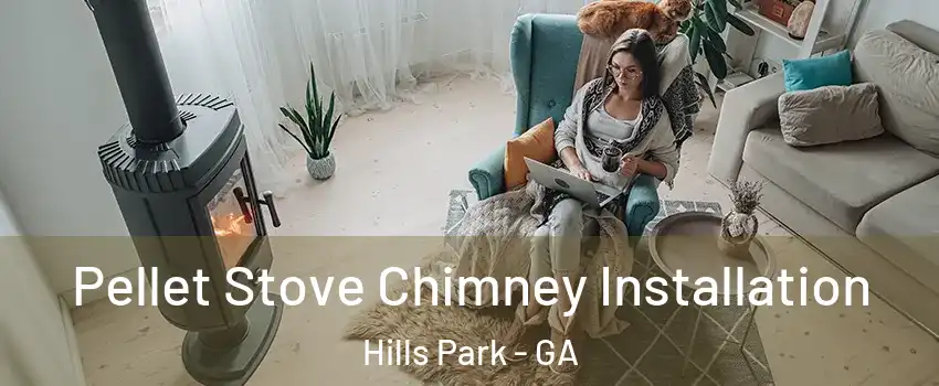 Pellet Stove Chimney Installation Hills Park - GA