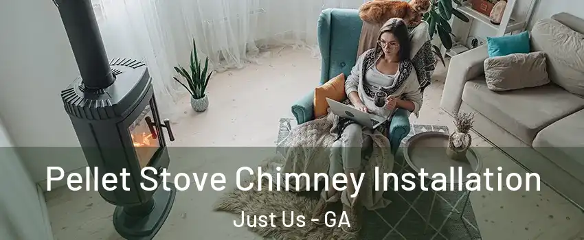 Pellet Stove Chimney Installation Just Us - GA