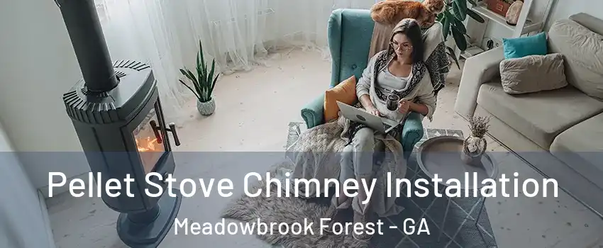 Pellet Stove Chimney Installation Meadowbrook Forest - GA