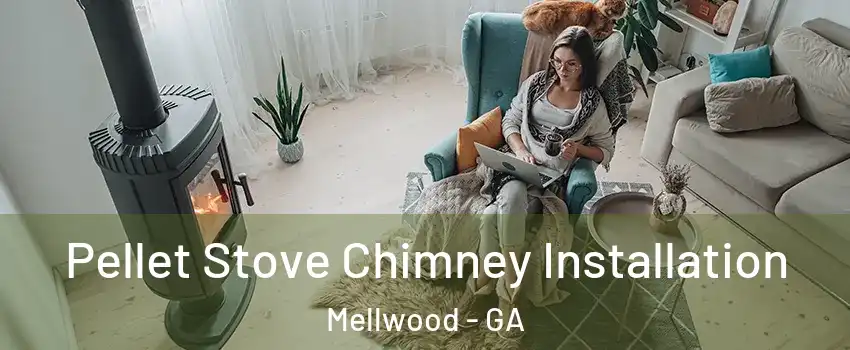 Pellet Stove Chimney Installation Mellwood - GA