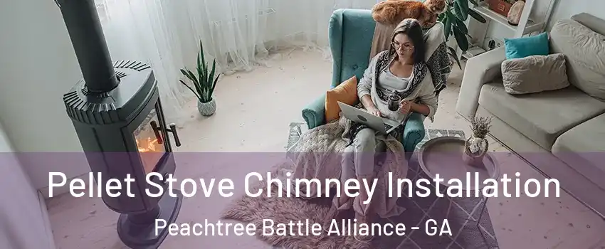Pellet Stove Chimney Installation Peachtree Battle Alliance - GA