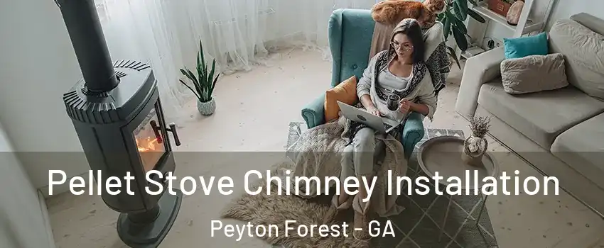 Pellet Stove Chimney Installation Peyton Forest - GA