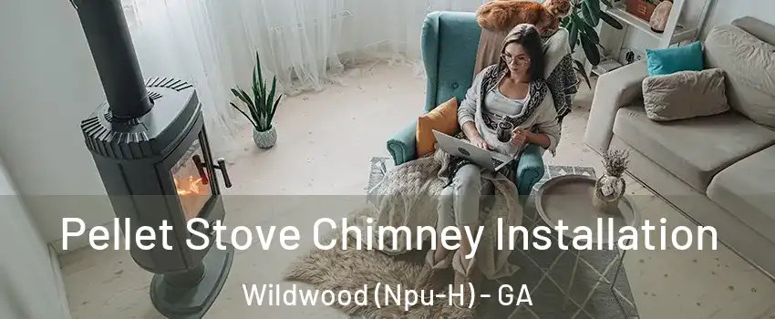 Pellet Stove Chimney Installation Wildwood (Npu-H) - GA