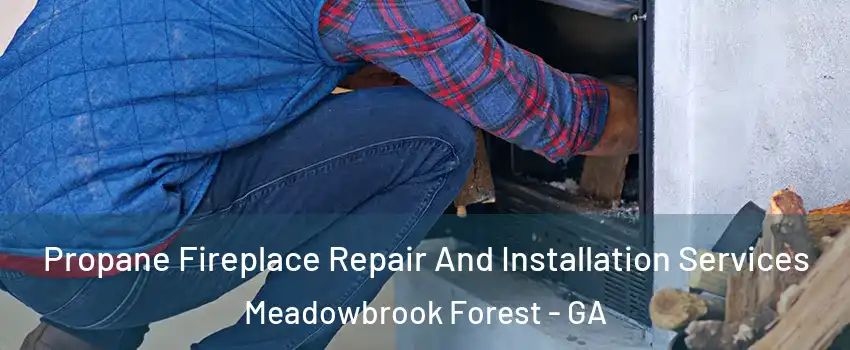 Propane Fireplace Repair And Installation Services Meadowbrook Forest - GA