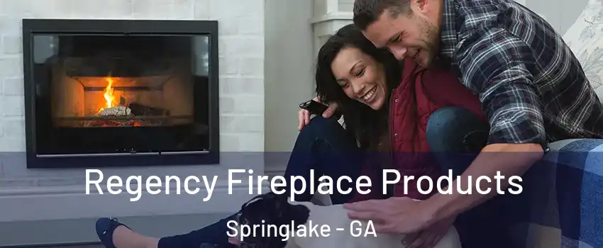 Regency Fireplace Products Springlake - GA
