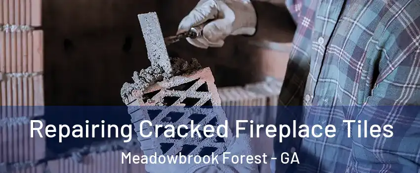 Repairing Cracked Fireplace Tiles Meadowbrook Forest - GA