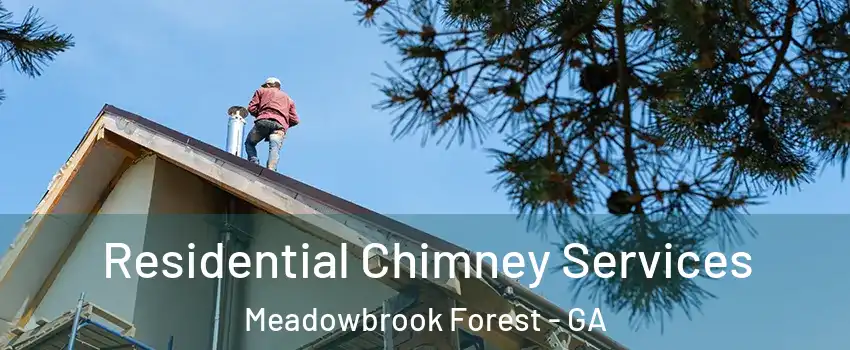 Residential Chimney Services Meadowbrook Forest - GA