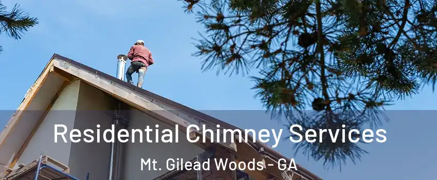 Residential Chimney Services Mt. Gilead Woods - GA