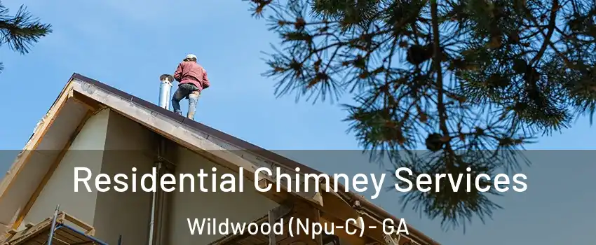 Residential Chimney Services Wildwood (Npu-C) - GA