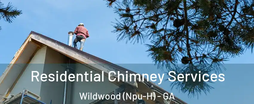 Residential Chimney Services Wildwood (Npu-H) - GA