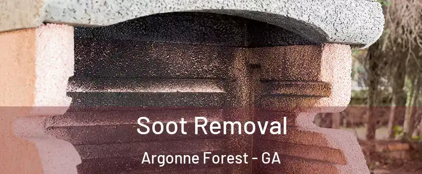 Soot Removal Argonne Forest - GA
