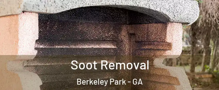 Soot Removal Berkeley Park - GA