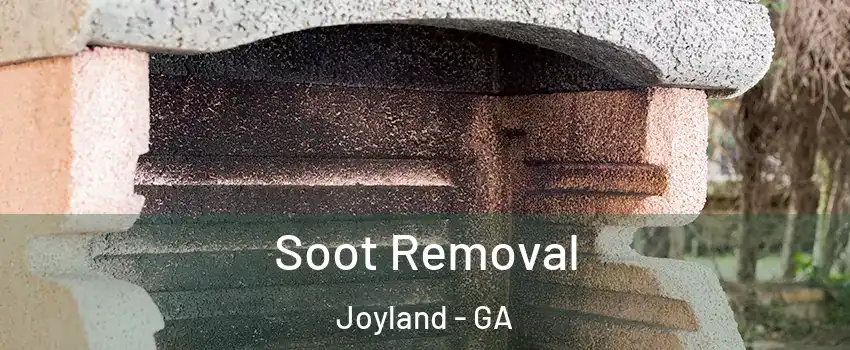 Soot Removal Joyland - GA