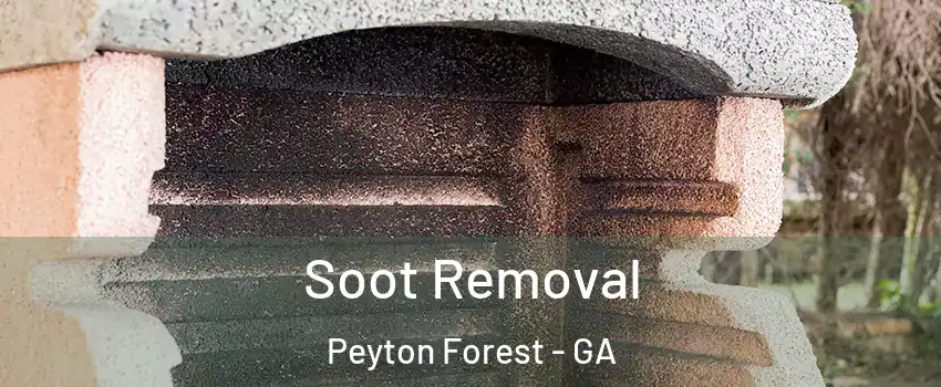 Soot Removal Peyton Forest - GA