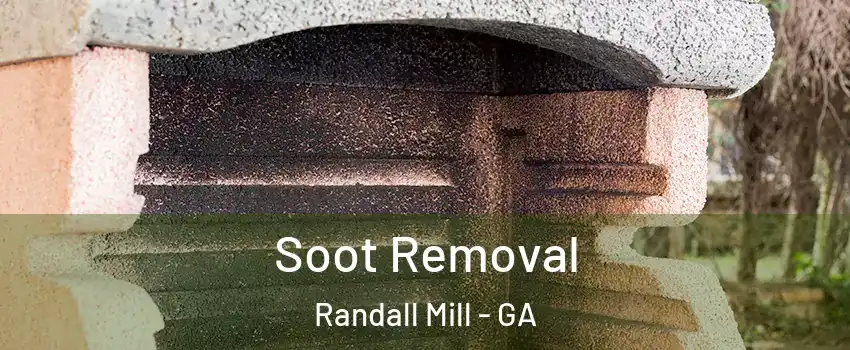 Soot Removal Randall Mill - GA