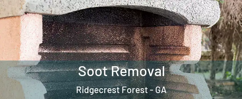 Soot Removal Ridgecrest Forest - GA