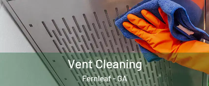Vent Cleaning Fernleaf - GA