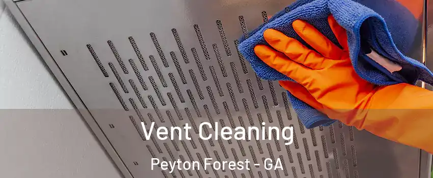 Vent Cleaning Peyton Forest - GA