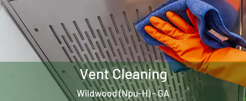 Vent Cleaning Wildwood (Npu-H) - GA