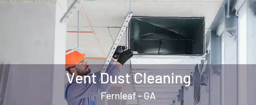 Vent Dust Cleaning Fernleaf - GA