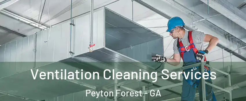 Ventilation Cleaning Services Peyton Forest - GA
