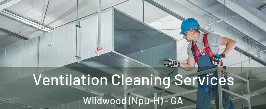 Ventilation Cleaning Services Wildwood (Npu-H) - GA