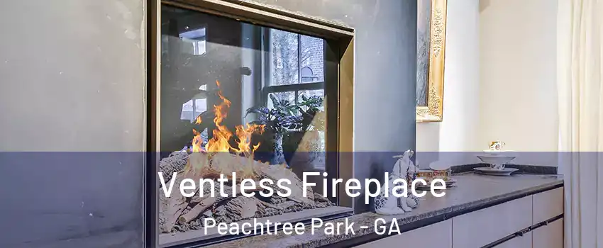 Ventless Fireplace Peachtree Park - GA