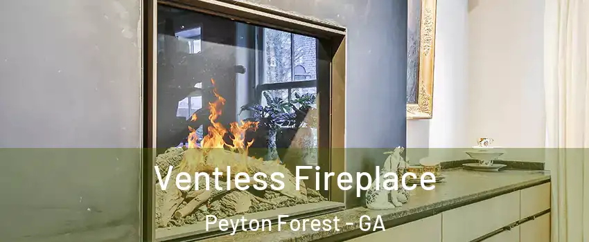 Ventless Fireplace Peyton Forest - GA