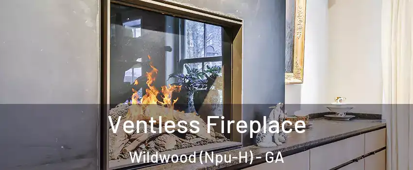 Ventless Fireplace Wildwood (Npu-H) - GA