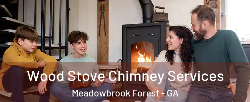 Wood Stove Chimney Services Meadowbrook Forest - GA
