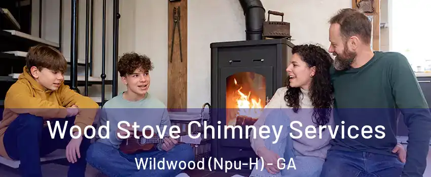 Wood Stove Chimney Services Wildwood (Npu-H) - GA