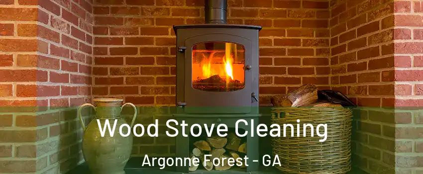 Wood Stove Cleaning Argonne Forest - GA