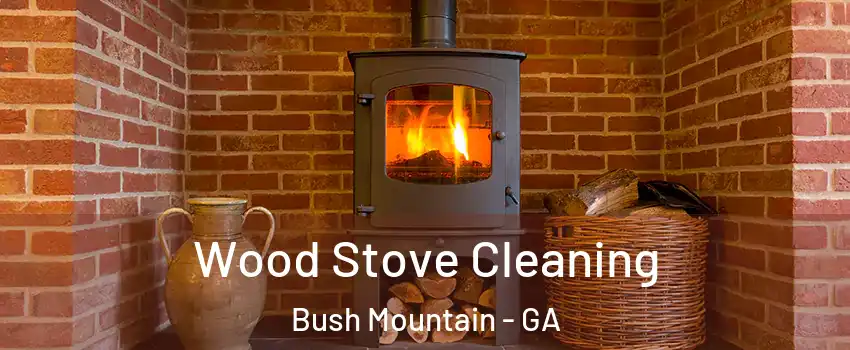 Wood Stove Cleaning Bush Mountain - GA